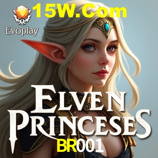 BR001 — tipos de mensagem disponíveis no canal de opinião do aplicativo