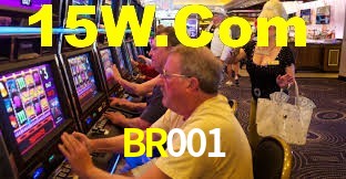 Premium Interface BR001