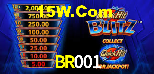 BR001,br001.com